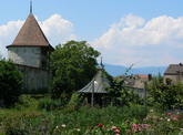 Image Image