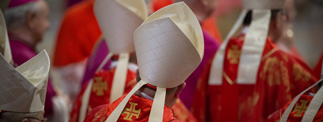 Image adoptez un cardinal du conclave
